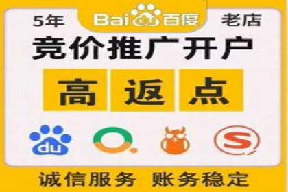 某科技公司如何利用百度竞价排名服务提升品牌知名度
